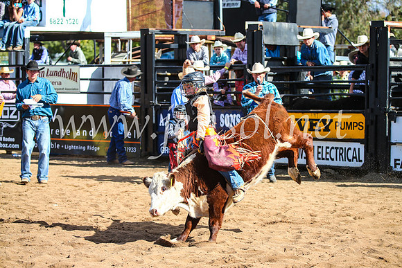 CoonambleRodeoCampdraftSun_3163
