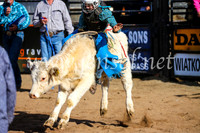 CoonambleRodeoCampdraftSun_2407