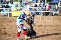 CoonambleRodeoCampdraftSun_2386