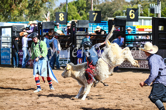 CoonambleRodeoCampdraftSun_3151