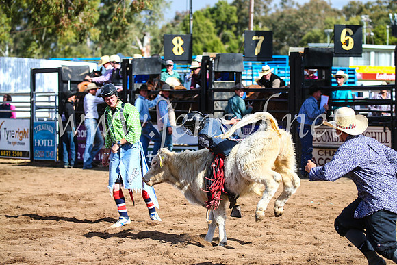 CoonambleRodeoCampdraftSun_3150