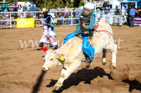 CoonambleRodeoCampdraftSun_2422