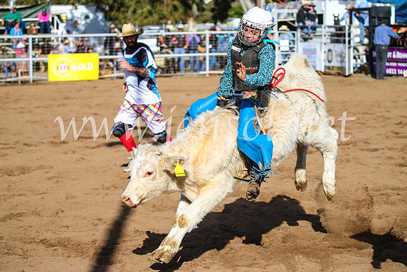 CoonambleRodeoCampdraftSun_2422