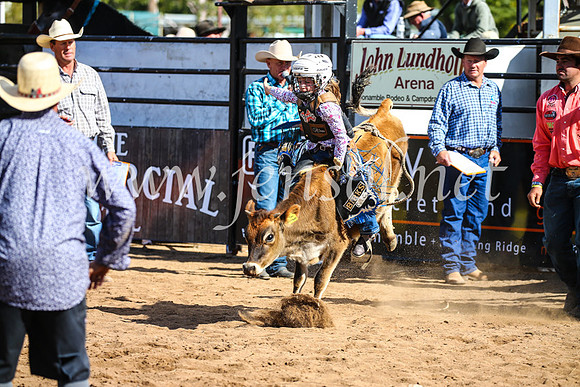CoonambleRodeoCampdraftSun_3170