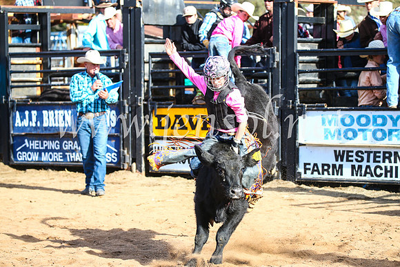 CoonambleRodeoCampdraftSun_2392