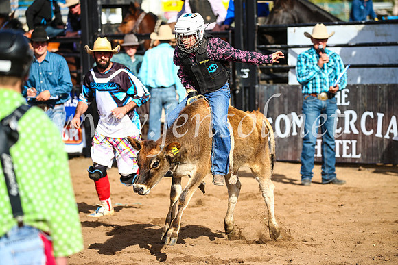CoonambleRodeoCampdraftSun_2360