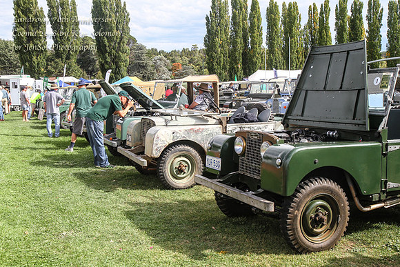 Landrovers70th-253