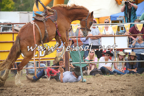 JindabyneRodeo2014_1342