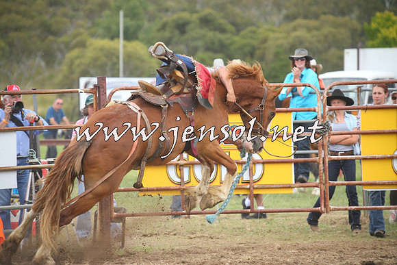 JindabyneRodeo2014_1339