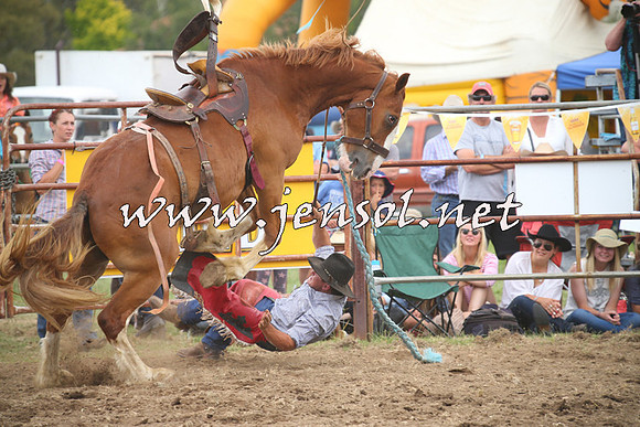 JindabyneRodeo2014_1344