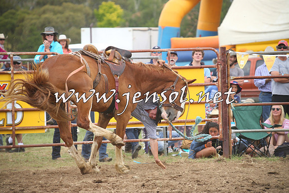 JindabyneRodeo2014_1334