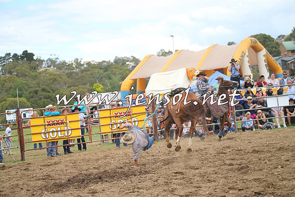JindabyneRodeo2014_1427