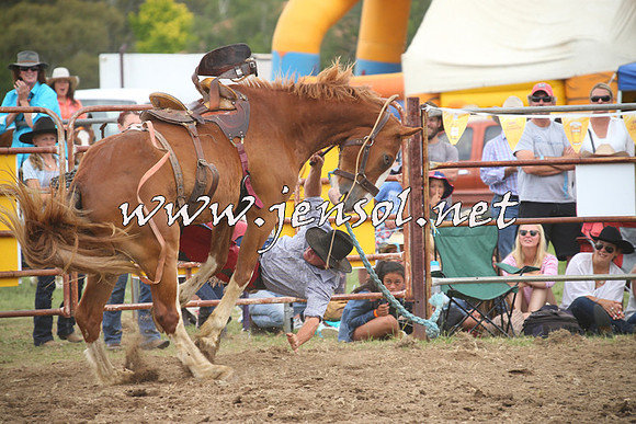 JindabyneRodeo2014_1345