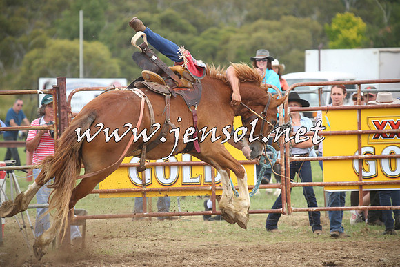 JindabyneRodeo2014_1335