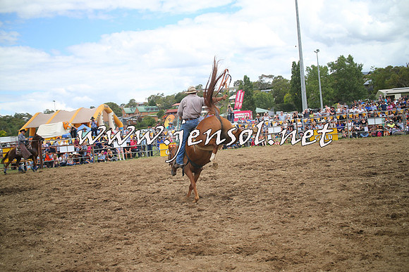 JindabyneRodeo2014_1435