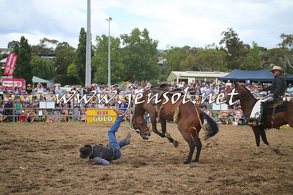 JindabyneRodeo2014_1269