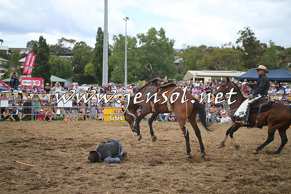 JindabyneRodeo2014_1281