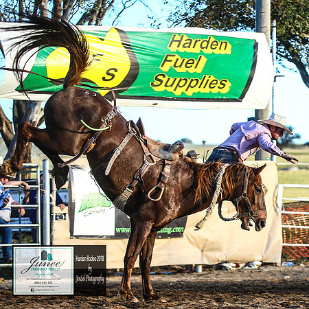 HardenRodeo_7137