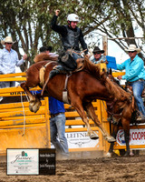 HardenRodeo_4656