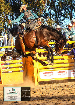 HardenRodeo_7226