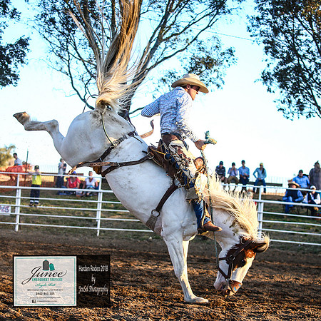 HardenRodeo_7308