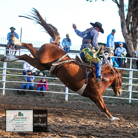 HardenRodeo_7177
