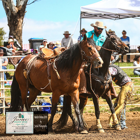 HardenRodeo_3942
