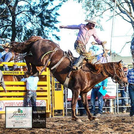 HardenRodeo_7121