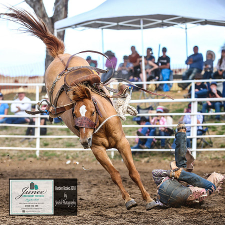 HardenRodeo_4828