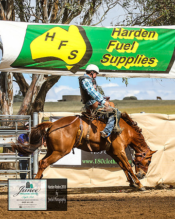 HardenRodeo_3832