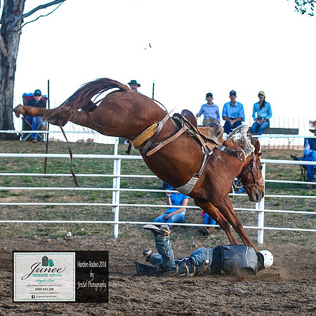 HardenRodeo_7087