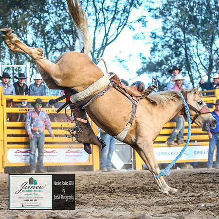 HardenRodeo_7060