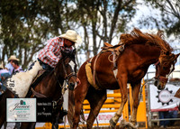 HardenRodeo_4690