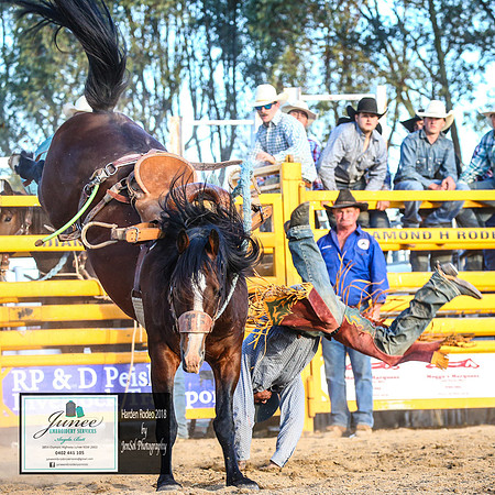 HardenRodeo_7098