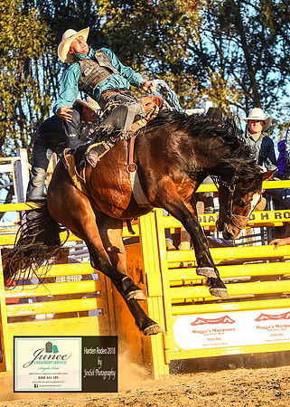HardenRodeo_7229