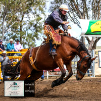 HardenRodeo_3882