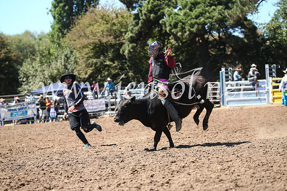 TaralgaRodeoSun2017_0735