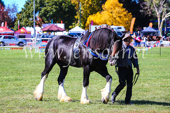 BathurstShow2017Fri_0385