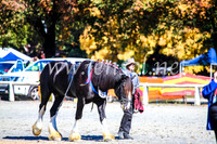 BathurstShow2017Fri_0284