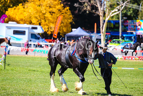 BathurstShow2017Fri_0388