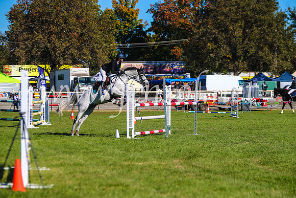 BathurstShow2017Sat_2689