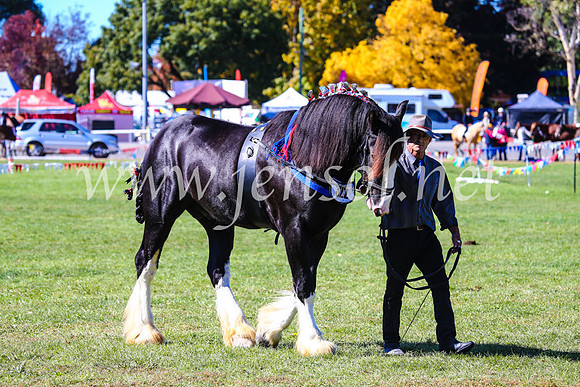 BathurstShow2017Fri_0387