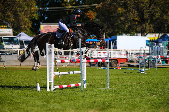 BathurstShow2017Sat_2705