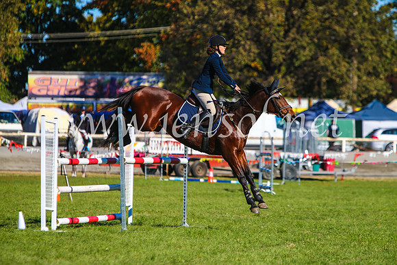 BathurstShow2017Sat_2668