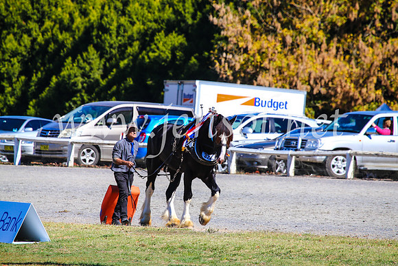 BathurstShow2017Fri_0607