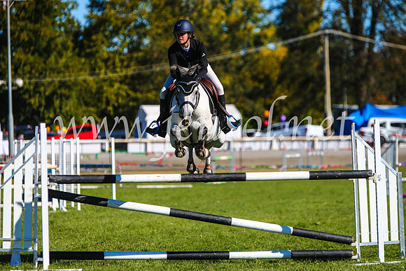 BathurstShow2017Sat_2697