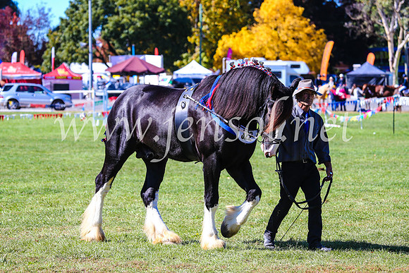BathurstShow2017Fri_0384