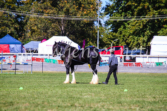 BathurstShow2017Fri_0491