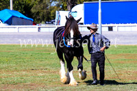 BathurstShow2017Fri_0377