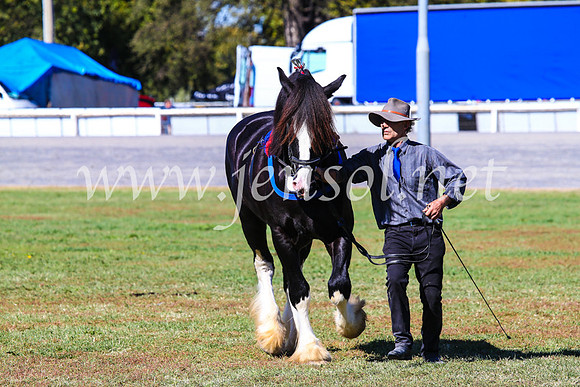 BathurstShow2017Fri_0377